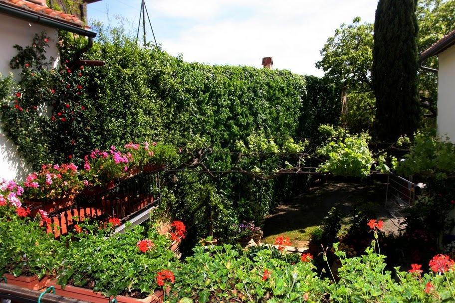 Casa Lemmi Guest House ซันกีรีโกดอร์เชีย ภายนอก รูปภาพ